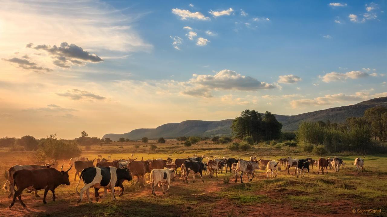 Thaba Manzi Ranch Apartment มากาลีสเบิร์ก ภายนอก รูปภาพ